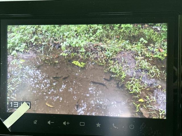 �i�r�A�h�����R�A�d�s�b�A�t���b�v�_�E�����j�^�[�A�f�W�^���C���i�[�~���[�������c��t���\�ł��I�I�v�V�������L�x�Ɏ�葵���Ă���܂��̂ł����S���������I