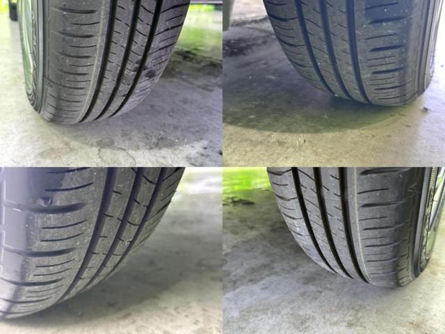 �u���̎Ԃ̎ʐ^�������ƌ������v�u��Ԃ��C�ɂȂ�v�u���̑����͂��Ă���H�v�ǂ�ȏ����ȋ^��ł����C�y�ɂ��₢���킹���������I