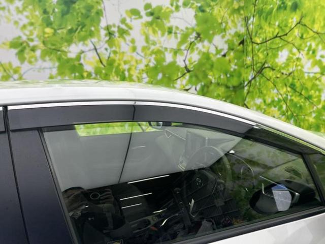 �v�d�b�`�q�r�̓W����ł͎��ۂɌ��āA�G���Ă��Ԃ����I�т��������܂��I�m���̖L�x�ȉc�ƃX�^�b�t���l�X�ȃJ�[���C�t������Ă������܂��I