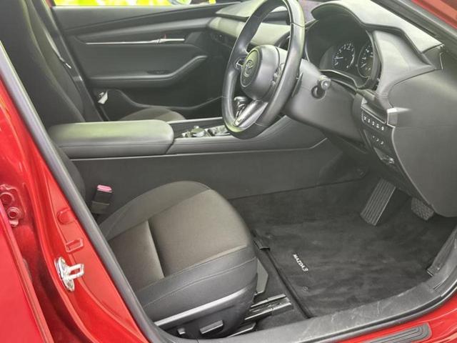 �u���̎Ԃ̎ʐ^�������ƌ������v�u��Ԃ��C�ɂȂ�v�u���̑����͂��Ă���H�v�ǂ�ȏ����ȋ^��ł����C�y�ɂ��₢���킹���������I