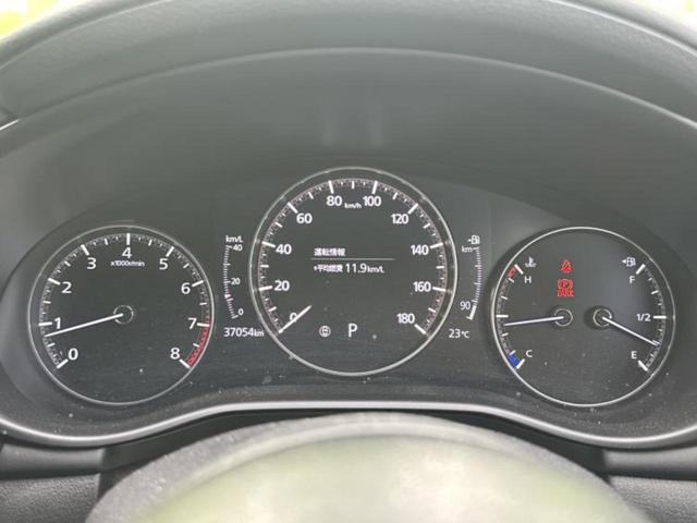 �v�d�b�`�q�r�̓W����ł͎��ۂɌ��āA�G���Ă��Ԃ����I�т��������܂��I�m���̖L�x�ȉc�ƃX�^�b�t���l�X�ȃJ�[���C�t������Ă������܂��I