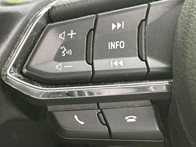 ２０Ｓプロアクティブ　ＢＯＳＥ／保証書／純正　ＳＤナビ／アイアクティブセンス（マツダ）／シートヒーター　前席／車線逸脱防止支援システム／電動バックドア／ヘッドランプ　ＬＥＤ／Ｂｌｕｅｔｏｏｔｈ接続／ＥＴＣ（画像36）