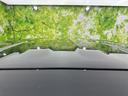サムネイル画像47