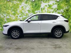 �ףţã��ңӤκ߸˥ڡ������������������ˤ��꤬�Ȥ��������ޤ����ףţã��ңӤϡ֤��������פ��åȡ��ˤ����ͤΥ����饤�դ����Ϥǥ��ݡ��Ȥ������ޤ��� 2