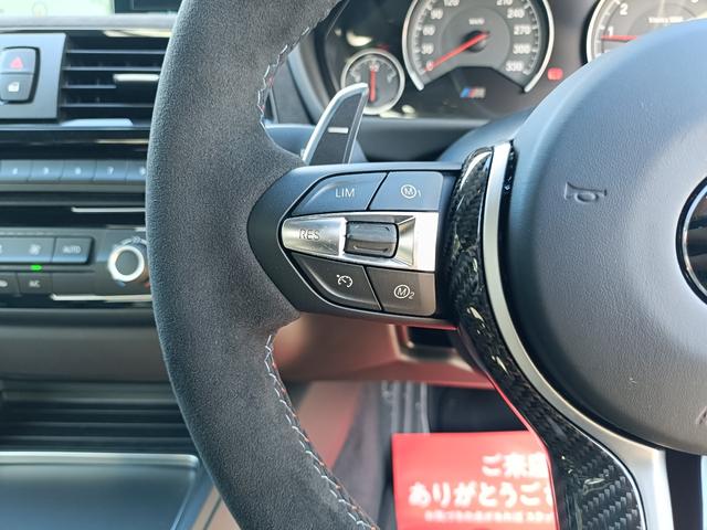 Ｍ４ ＤＴＭチャンピオンエディション　日本国内２５台限定モデル・７速ＭＤＣＴ・Ｍドライバースパッケージ（43枚目）