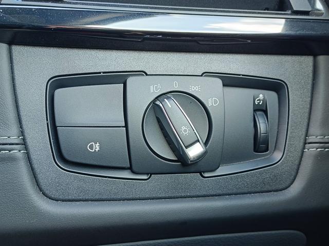 Ｍ４ ＤＴＭチャンピオンエディション　日本国内２５台限定モデル・７速ＭＤＣＴ・Ｍドライバースパッケージ（47枚目）