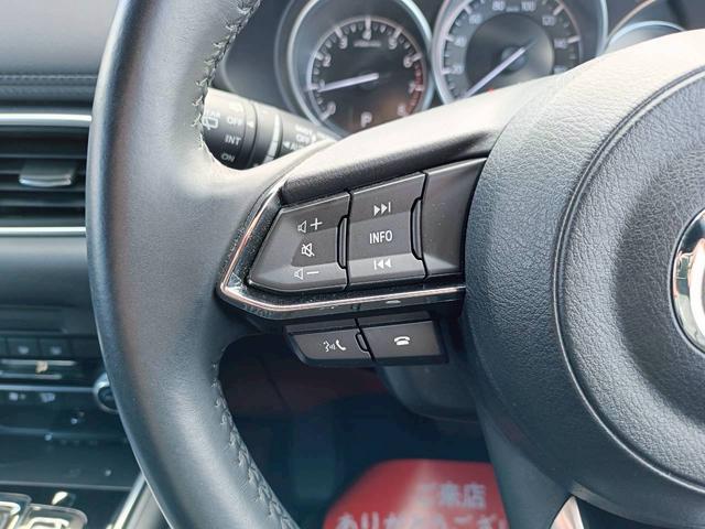 ＣＸ－８ ２５Ｓ　スマートエディション　ワンオーナー／ユーザー買取車／禁煙車／３列シート／純正ナビ／バックカメラ／スペアキー（26枚目）