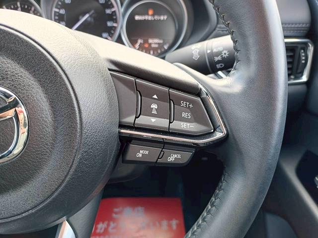 ＣＸ－８ ２５Ｓ　スマートエディション　ワンオーナー／ユーザー買取車／禁煙車／３列シート／純正ナビ／バックカメラ／スペアキー（28枚目）