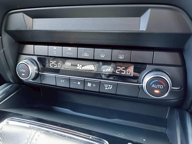 ＣＸ－８ ２５Ｓ　スマートエディション　ワンオーナー／ユーザー買取車／禁煙車／３列シート／純正ナビ／バックカメラ／スペアキー（32枚目）
