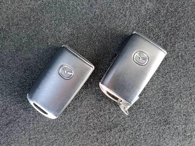 ＣＸ－８ ２５Ｓ　スマートエディション　ワンオーナー／ユーザー買取車／禁煙車／３列シート／純正ナビ／バックカメラ／スペアキー（33枚目）