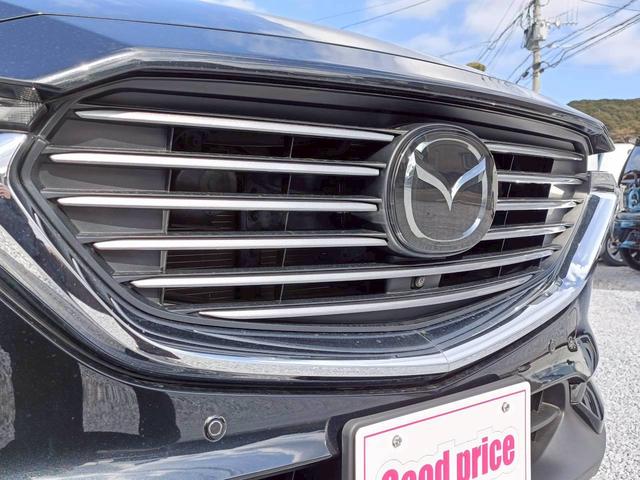 ＣＸ－８ ２５Ｓ　スマートエディション　ワンオーナー／ユーザー買取車／禁煙車／３列シート／純正ナビ／バックカメラ／スペアキー（44枚目）