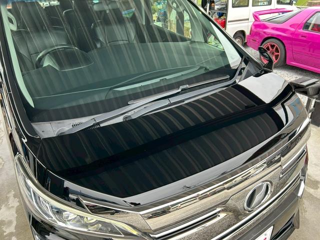 �{�f�B�S�ʖ����ς݁I�F�򂹂�N���A�[�����͗L��܂���I