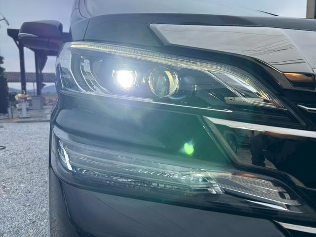 �k�d�c�w�b�h���C�g