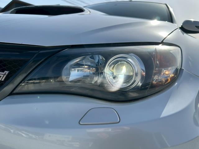 �g�h�c�w�b�h���C�g