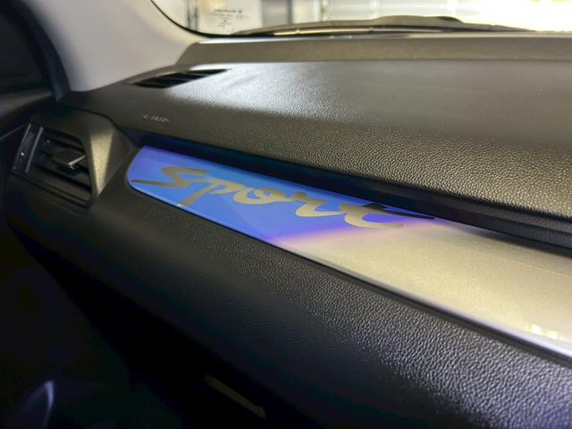 ��p�C���p�l�I�[�i�����g�i�q�[�g�O���f�[�V�����j