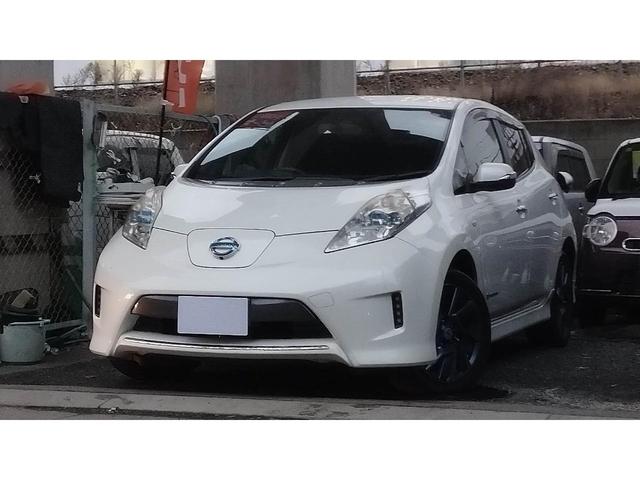 リーフ Ｇ　エアロスタイル　セグ９　オールレザー＆シートーヒーター　ＢＯＳＥサウンドシステム　アラウンドビューモニター　ＬＥＤフォグ　スマートキー×２個（22枚目）