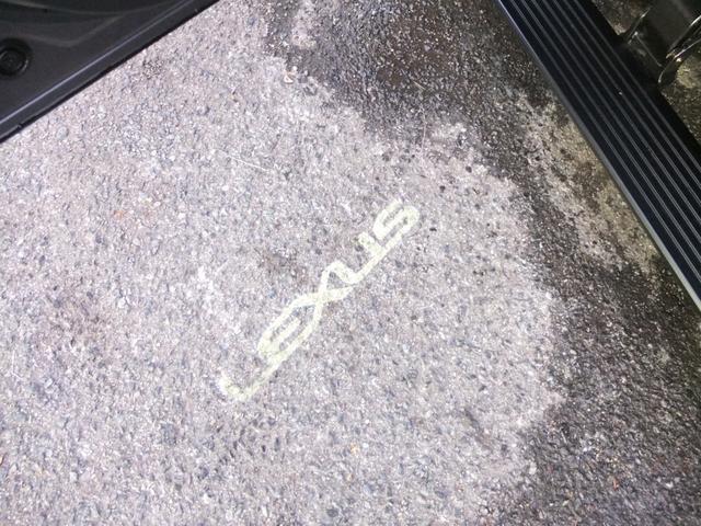 �����I�v�V�����A�v���W�F�N�V�����J�[�e�V�[�C���~���������Ă���܂��B