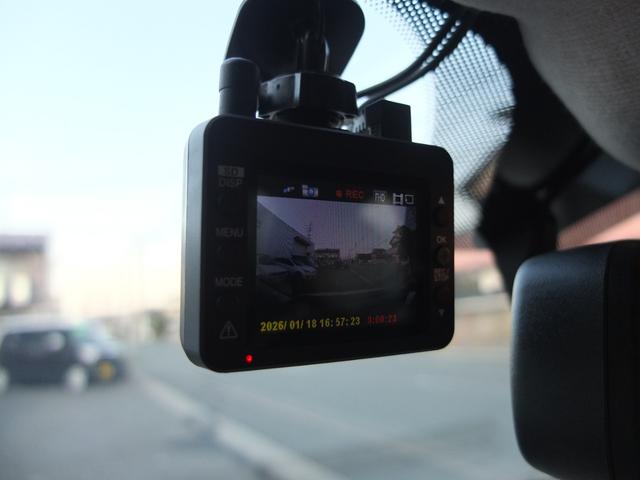 ���s�e�����h�����R�O��J������������܂��B