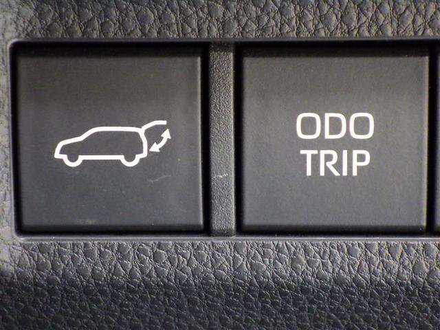 ＲＡＶ４ ハイブリッドアドベンチャー　オフロードパッケージＩＩ　４ＷＤ　フルセグ　メモリーナビ　ミュージックプレイヤー接続可　バックカメラ　衝突被害軽減システム　ＥＴＣ　ＬＥＤヘッドランプ　ワンオーナー　盗難防止装置　アルミホイール　電動シート　スマートキー（22枚目）