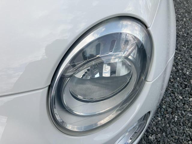 ��w�b�h���C�g���Y��ł���