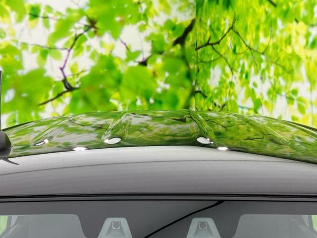 キャロル GL デュアルカメラブレーキサポート(スズキ)/シートヒーター 運転席/車線逸脱防止支援システム/ABS/横滑り防止装置/アイドリングストップ/衝突安全ボディ/パワーウインドウ/キーレス レーンアシスト(37枚目)