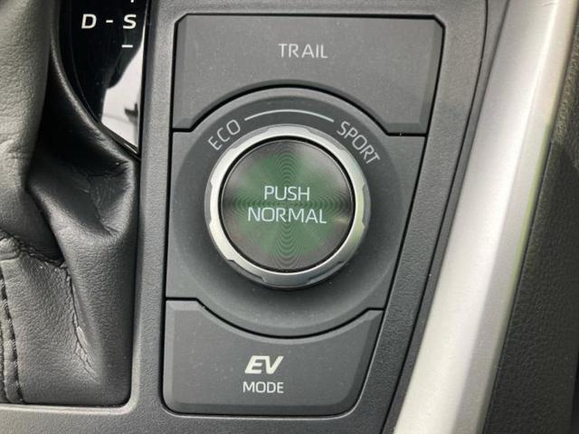 ＲＡＶ４ ４ＷＤハイブリッドＧ　保証書／ディスプレイオーディオ９インチ／トヨタセーフティセンス／シートヒーター　前席／全方位モニター／車線逸脱防止支援システム／シート　合皮／電動バックドア／ヘッドランプ　ＬＥＤ　衝突被害軽減システム（34枚目）