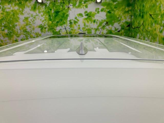 アルファード Ｓ　Ｃパッケージ　サンルーフ／エアロ／保証書／ディスプレイオーディオ＋ナビ／フリップダウンモニター／両側電動スライドドア／シート　フルレザー／電動バックドア／ヘッドランプ　ＬＥＤ／ＥＴＣ／ＥＢＤ付ＡＢＳ　革シート（51枚目）