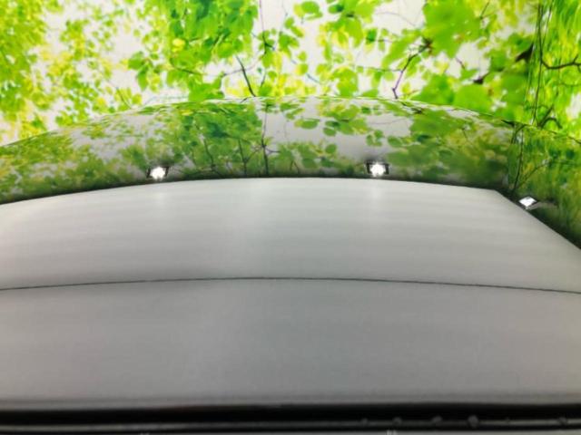 ハイゼットカーゴ デラックスＳＡ３　社外　ＳＤナビ／衝突安全装置／車線逸脱防止支援システム／ドライブレコーダー　社外／ヘッドランプ　ＬＥＤ／Ｂｌｕｅｔｏｏｔｈ接続／ＥＢＤ付ＡＢＳ／横滑り防止装置／アイドリングストップ／フルセグＴＶ（35枚目）