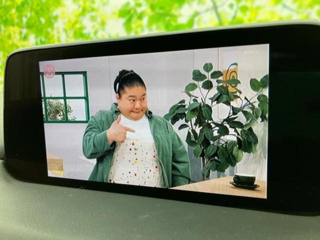 CX-5 XDプロアクティブ BOSE/保証書/純正 SDナビ/衝突安全装置/車線逸脱防止支援システム/ヘッドランプ LED/Bluetooth接続/ETC/EBD付ABS/横滑り防止装置/アイドリングストップ バックカメラ(13枚目)