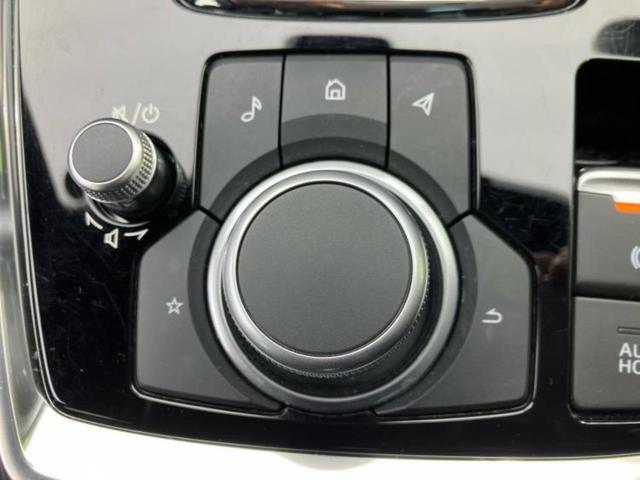 �u���̎Ԃ̎ʐ^�������ƌ������v�u��Ԃ��C�ɂȂ�v�u���̑����͂��Ă���H�v�ǂ�ȏ����ȋ^��ł����C�y�ɂ��₢���킹���������I