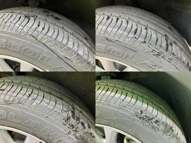 �u���̎Ԃ̎ʐ^�������ƌ������v�u��Ԃ��C�ɂȂ�v�u���̑����͂��Ă���H�v�ǂ�ȏ����ȋ^��ł����C�y�ɂ��₢���킹���������I