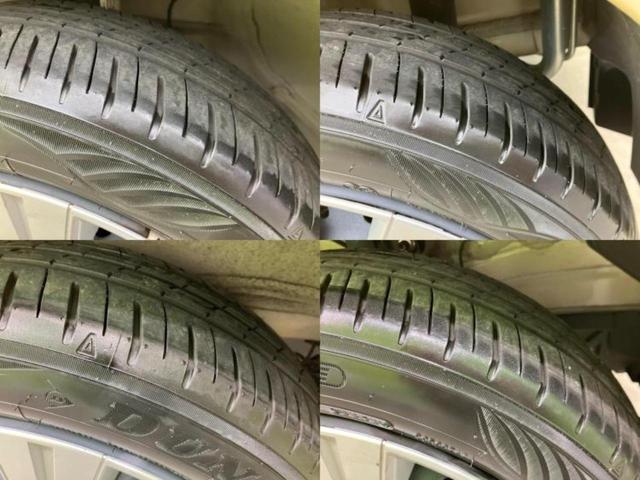 �u���̎Ԃ̎ʐ^�������ƌ������v�u��Ԃ��C�ɂȂ�v�u���̑����͂��Ă���H�v�ǂ�ȏ����ȋ^��ł����C�y�ɂ��₢���킹���������I