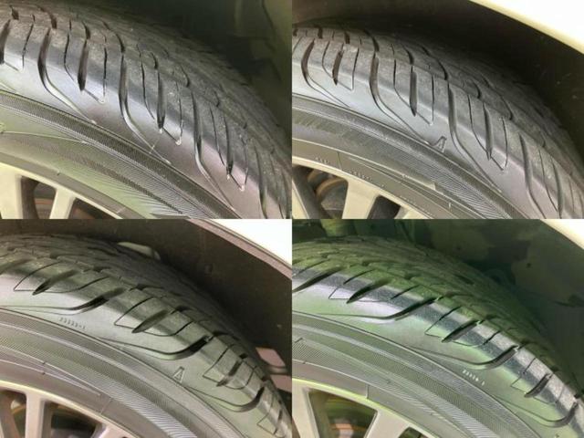 �u���̎Ԃ̎ʐ^�������ƌ������v�u��Ԃ��C�ɂȂ�v�u���̑����͂��Ă���H�v�ǂ�ȏ����ȋ^��ł����C�y�ɂ��₢���킹���������I