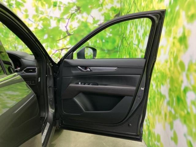 �u���̎Ԃ̎ʐ^�������ƌ������v�u��Ԃ��C�ɂȂ�v�u���̑����͂��Ă���H�v�ǂ�ȏ����ȋ^��ł����C�y�ɂ��₢���킹���������I