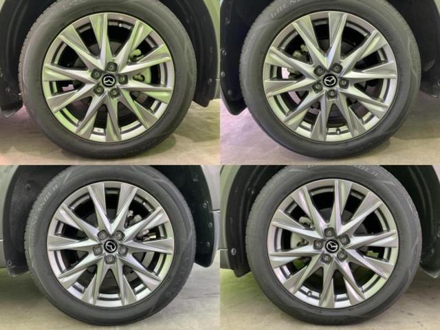 �l�b�g�ŎԂ����Ă��Ă��C���[�W���N���Ȃ��E�E�E�F�X�ȉ�Ђ�Ԃ����肷���ĉ����ǂ��̂�������Ȃ��E�E�E�������l���̂��q�l�I�����k�݂̂ł��n�j�ł��I�v�d�b�`�q�r�ł͒��Îԍw���̊�{�����`�����܂��I