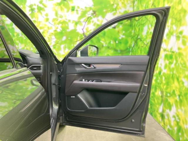 �u���̎Ԃ̎ʐ^�������ƌ������v�u��Ԃ��C�ɂȂ�v�u���̑����͂��Ă���H�v�ǂ�ȏ����ȋ^��ł����C�y�ɂ��₢���킹���������I