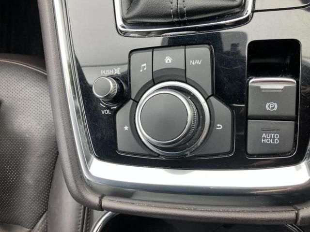 �u���̎Ԃ̎ʐ^�������ƌ������v�u��Ԃ��C�ɂȂ�v�u���̑����͂��Ă���H�v�ǂ�ȏ����ȋ^��ł����C�y�ɂ��₢���킹���������I