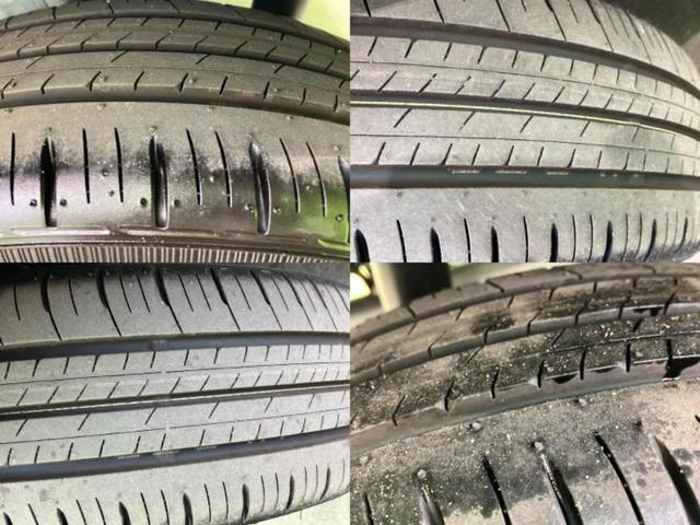 �u���̎Ԃ̎ʐ^�������ƌ������v�u��Ԃ��C�ɂȂ�v�u���̑����͂��Ă���H�v�ǂ�ȏ����ȋ^��ł����C�y�ɂ��₢���킹���������I