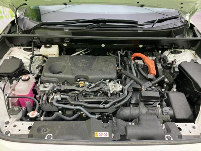 �S���ɓX�܂�W�J���Ă���̂łǂ��ł������񂹂��\�ł��I���̎Ԃ��C�ɂȂ邯�ǉ���������E�E�E�ƒ��߂�K�v�͂���܂���I���ʓr������K�v�ł��B