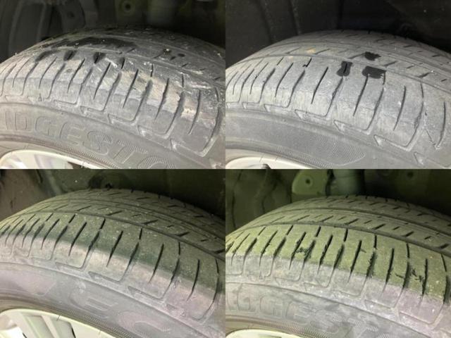 �u���̎Ԃ̎ʐ^�������ƌ������v�u��Ԃ��C�ɂȂ�v�u���̑����͂��Ă���H�v�ǂ�ȏ����ȋ^��ł����C�y�ɂ��₢���킹���������I