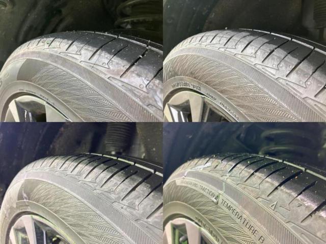 �u���̎Ԃ̎ʐ^�������ƌ������v�u��Ԃ��C�ɂȂ�v�u���̑����͂��Ă���H�v�ǂ�ȏ����ȋ^��ł����C�y�ɂ��₢���킹���������I