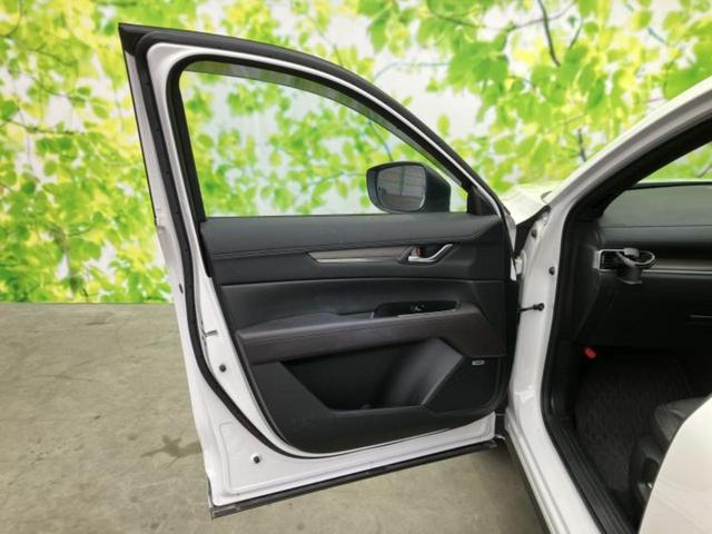 �u���̎Ԃ̎ʐ^�������ƌ������v�u��Ԃ��C�ɂȂ�v�u���̑����͂��Ă���H�v�ǂ�ȏ����ȋ^��ł����C�y�ɂ��₢���킹���������I