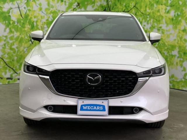 ������̂��Ԃ͂������ł��傤���H�����ł��C�ɂȂ��Ă��������܂����琥�񂨖₢���킹���������I����ɂ��Ԃ̏ڍׂ������肢�����܂��I