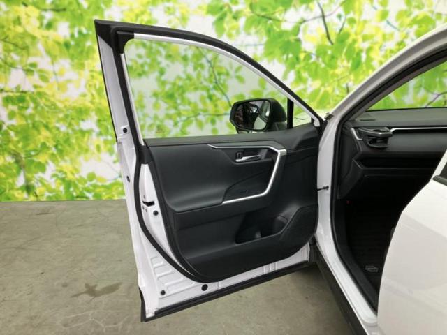 �u���̎Ԃ̎ʐ^�������ƌ������v�u��Ԃ��C�ɂȂ�v�u���̑����͂��Ă���H�v�ǂ�ȏ����ȋ^��ł����C�y�ɂ��₢���킹���������I