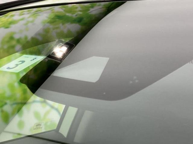 �v�d�b�`�q�r�̓W����ł͎��ۂɌ��āA�G���Ă��Ԃ����I�т��������܂��I�m���̖L�x�ȉc�ƃX�^�b�t���l�X�ȃJ�[���C�t������Ă������܂��I