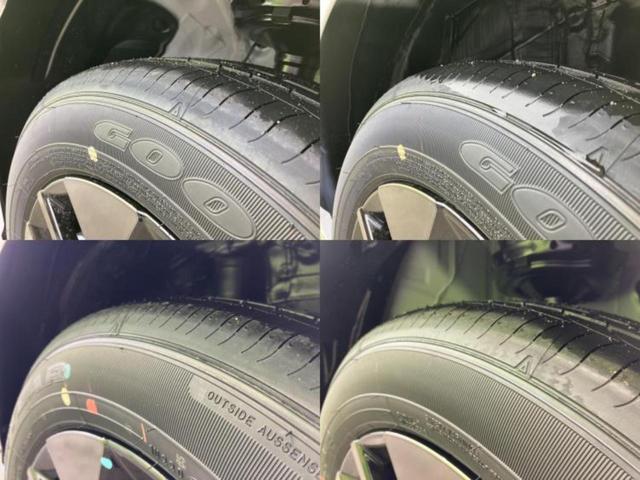 �u���̎Ԃ̎ʐ^�������ƌ������v�u��Ԃ��C�ɂȂ�v�u���̑����͂��Ă���H�v�ǂ�ȏ����ȋ^��ł����C�y�ɂ��₢���킹���������I