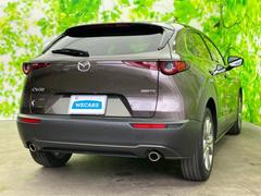 �����Ź�ޤ�Ÿ�����Ƥ���ΤǤɤ��Ǥ⤪���󤻤���ǽ�Ǥ������μ֤����ˤʤ뤱�ɱ��������顦�����������ɬ�פϤ���ޤ��󡪢�����Φ����ɬ�פǤ��� 3