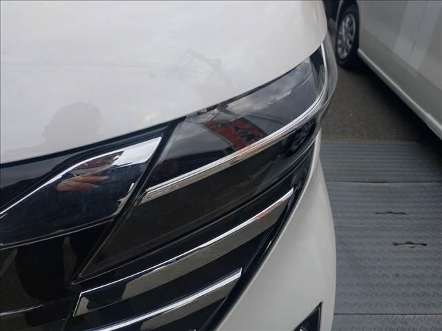 �j�s�r���y�P�C�J�t�F�g�[�^���J�[���C�t�T�|�[�g�z