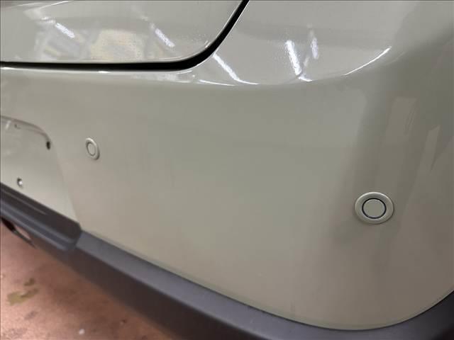 アルトラパン X(18枚目)