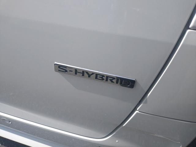 ルークス X フルセグナビ・Bluetooth付 バックカメラ 両側スライド片側電動ドア スマートキー 衝突被害軽減ブレーキ 車線逸脱防止装置 クリアランスソナー ETC アイドリングストップ ドライブレコーダー(53枚目)